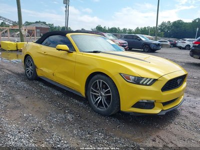 1FATP8UHXH5****** 2017 Ford Mustang