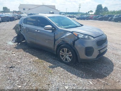 KNDPM3AC3K7****** 2019 Kia Sportage