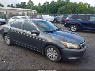 2010 Honda Accord