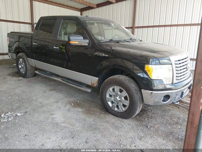 2010 Ford F-150