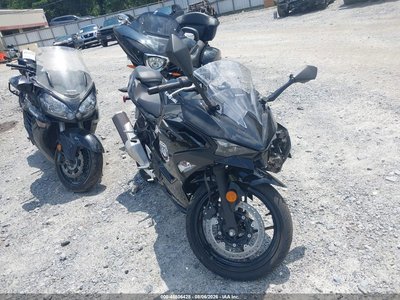 2024 Kawasaki Ninja 500
