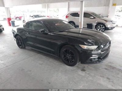 1FA6P8TH3F5****** 2015 Ford Mustang