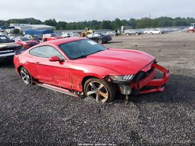 1FA6P8AMXF5****** 2015 Ford Mustang