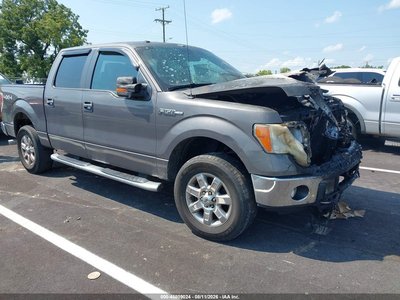 1FTFW1EF3DK****** 2013 Ford F-150