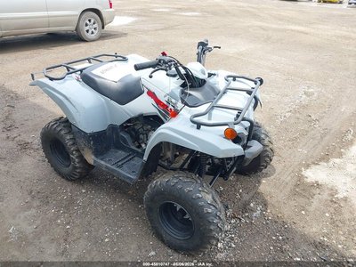 2021 Yamaha Grizzly 90