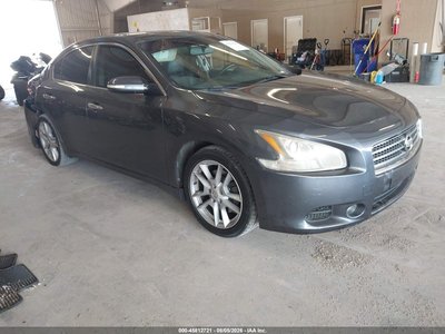 1N4AA51E49C****** 2009 Nissan Maxima