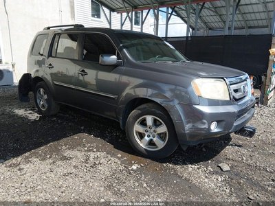 5FNYF4H51BB****** 2011 Honda Pilot