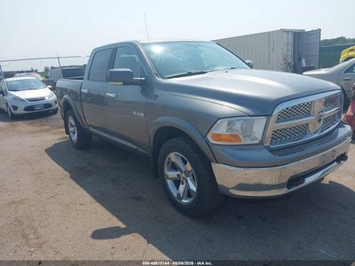 1D3HV13P49S****** 2009 Dodge Ram 1500