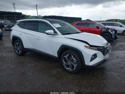 KM8JECD11RU****** 2024 Hyundai Tucson Hybrid
