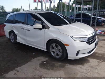 5FNRL6H85PB****** 2023 Honda Odyssey