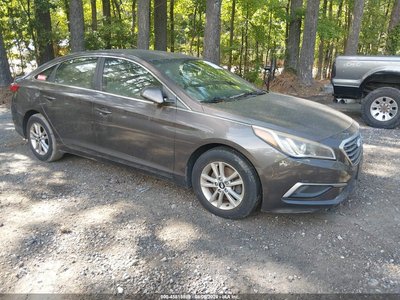 5NPE24AF4HH****** 2017 Hyundai Sonata