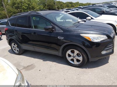 1FMCU0GX2DU****** 2013 Ford Escape