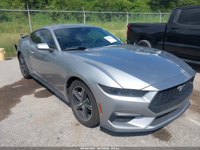 1FA6P8TH4S5****** 2025 Ford Mustang