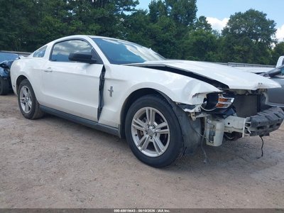 1ZVBP8AN4A5****** 2010 Ford Mustang
