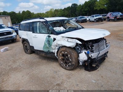 5NMP2DGL5RH****** 2024 Hyundai Santa Fe