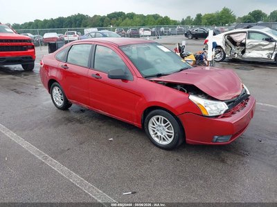 1FAHP3FN1BW****** 2011 Ford Focus