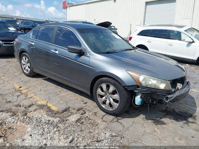 2010 Honda Accord