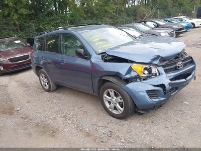 2T3BF4DV4CW****** 2012 Toyota RAV4