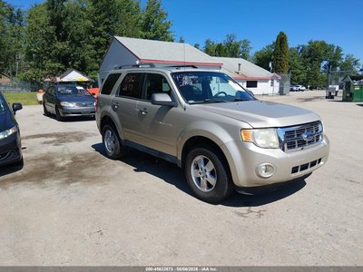 1FMCU0DG3AK****** 2010 Ford Escape