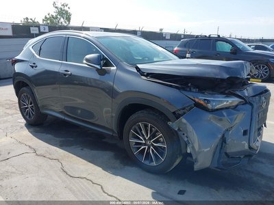 2024 Lexus NX