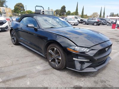 1FATP8UHXK5****** 2019 Ford Mustang