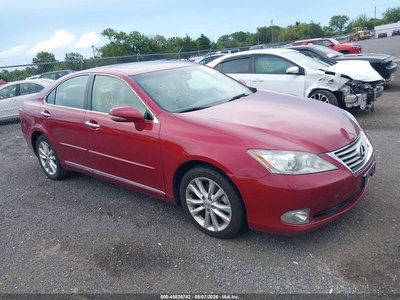 2010 Lexus ES 350
