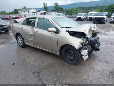 1NXBU4EE5AZ****** 2010 Toyota Corolla