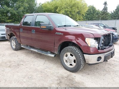 2009 Ford F-150