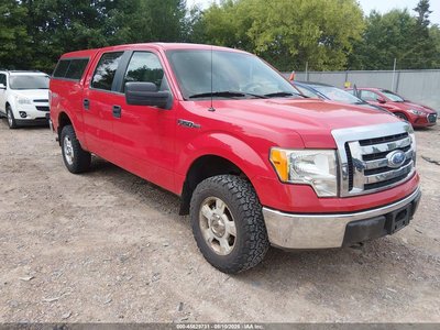 1FTPW14VX9F****** 2009 Ford F-150