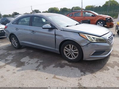 5NPE24AF6GH****** 2016 Hyundai Sonata