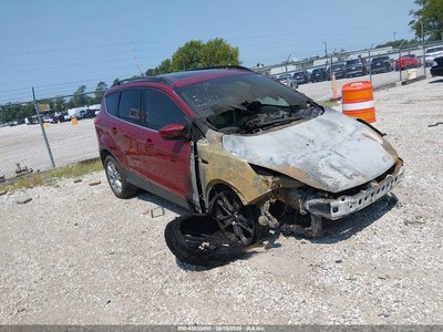 1FMCU0GX8EU****** 2014 Ford Escape