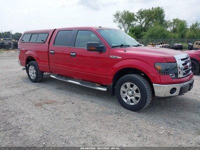 1FTPW14V09K****** 2009 Ford F-150