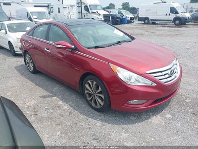 5NPEC4AB3DH****** 2013 Hyundai Sonata