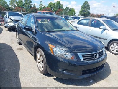 2010 Honda Accord