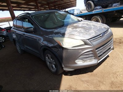 1FMCU0GX6EU****** 2014 Ford Escape