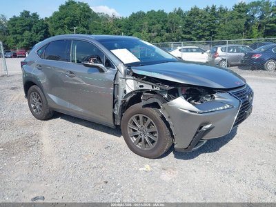 JTJBARBZ1K2****** 2019 Lexus NX