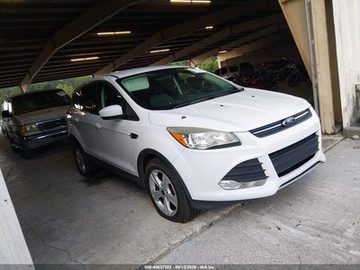 1FMCU0GX0EU****** 2014 Ford Escape