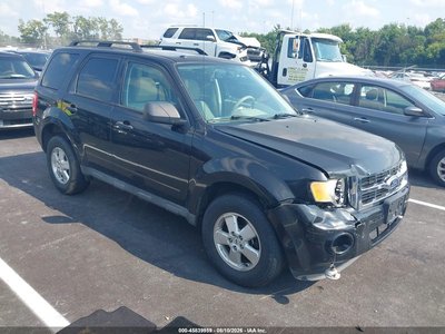 1FMCU0D77BK****** 2011 Ford Escape