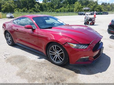1FA6P8TH9H5****** 2017 Ford Mustang