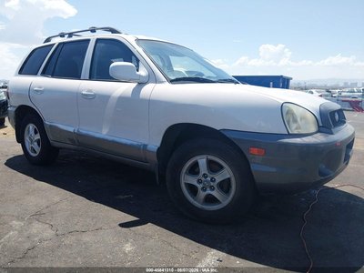 KM8SB12B12U****** 2002 Hyundai Santa Fe