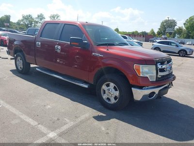 1FTFW1EF3EK****** 2014 Ford F-150