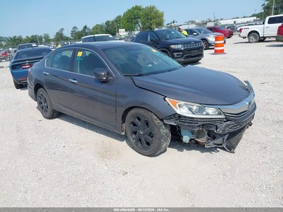 1HGCR2F77HA****** 2017 Honda Accord