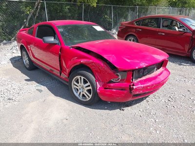 1ZVFT80NX55****** 2005 Ford Mustang