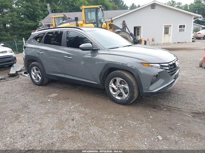 5NMJB3DE2RH****** 2024 Hyundai Tucson