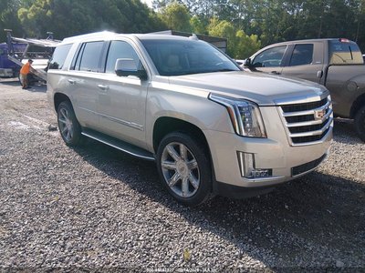1GYS3MKJXFR****** 2015 Cadillac Escalade