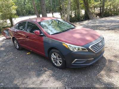 5NPE24AF0GH****** 2016 Hyundai Sonata