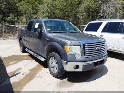 1FTEW1C88AF****** 2010 Ford F-150