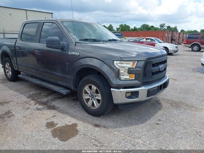 1FTEW1C81FK****** 2015 Ford F-150