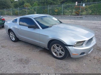 1ZVBP8AM4B5****** 2011 Ford Mustang
