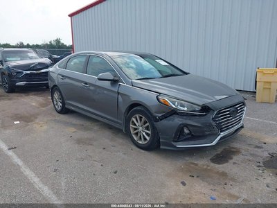 5NPE24AFXKH****** 2019 Hyundai Sonata